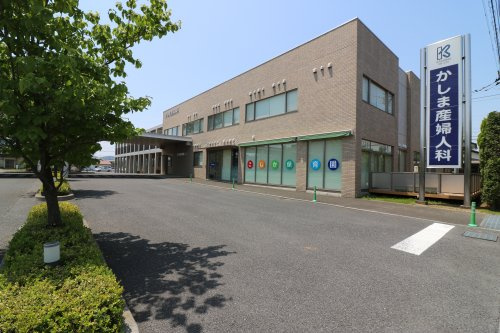 の画像