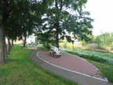 公園 河畔公園