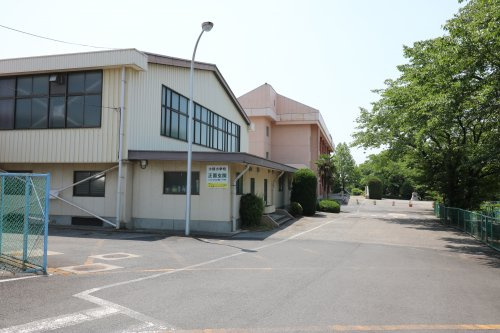 の画像