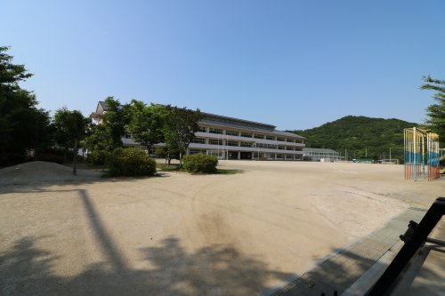 の画像