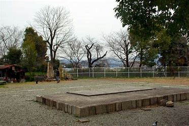 の画像