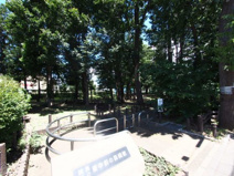 東中前の森緑地