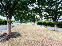 ひばりが丘三丁目けやき公園