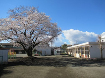 秦野市立西幼稚園
