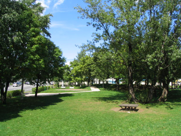 山の手北新公園の画像1