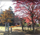 佐白山麓公園(さしろさんろくこうえん)