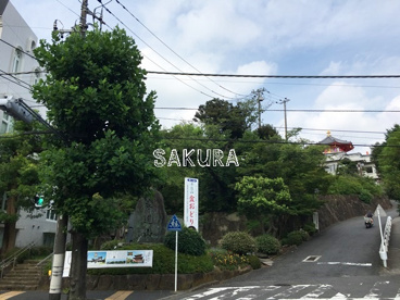 孝道山本仏殿（宗教法人）の画像1