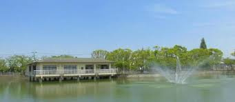 大池公園の画像1