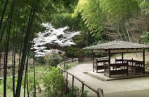 高井田公園
