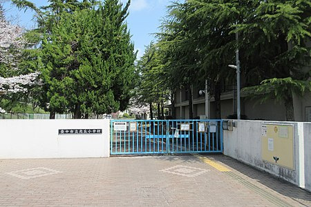 の画像