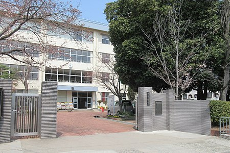 の画像