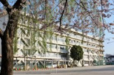 小学校 松戸市立寒風台小学校