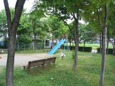 八軒青空公園の画像1
