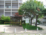 西野中央藤花公園