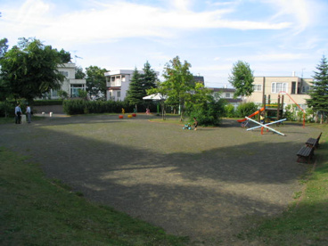 宮の沢見晴らし公園の画像1