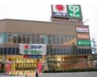サミットストア 成城店