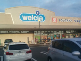 ウエルシア旭太子橋店