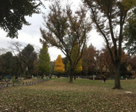 新宿中央公園