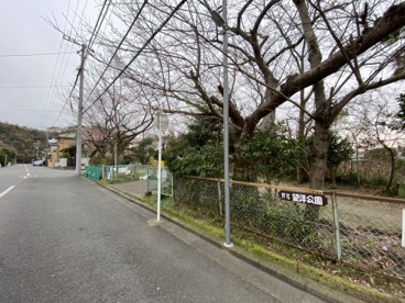 アザリエ望洋公園の画像1