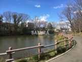 菊名池公園