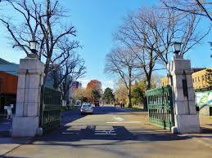 北海道大学