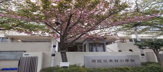 港区立本村小学校