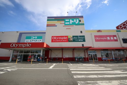 Olympic(オリンピック) 瑞穂店の画像1