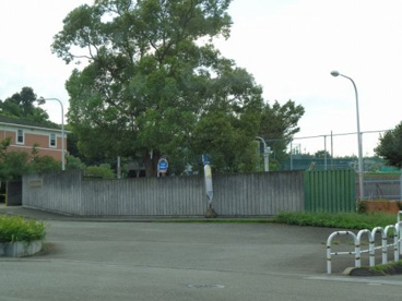 和光学園の画像1