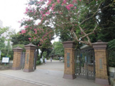 学習院大学