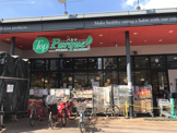トップパルケ 豪徳寺店