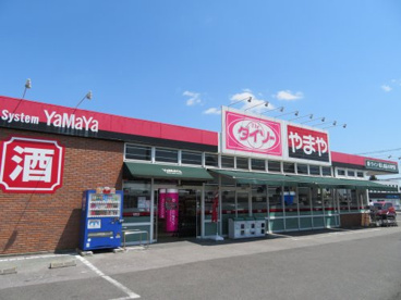 ザ・ダイソーやまや戸祭元町店の画像2
