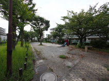 東大泉やすらぎ緑地