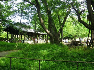 赤羽自然観察公園の画像1