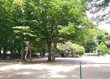大泉公園の画像1