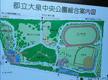 都立大泉中央公園の画像2