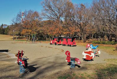 都立大泉中央公園の画像3