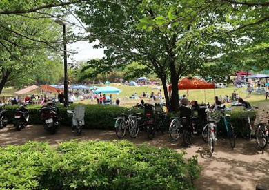 都立大泉中央公園の画像4
