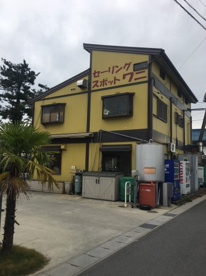 セーリングスポットワニの画像2