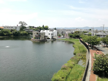 青池公園の画像1