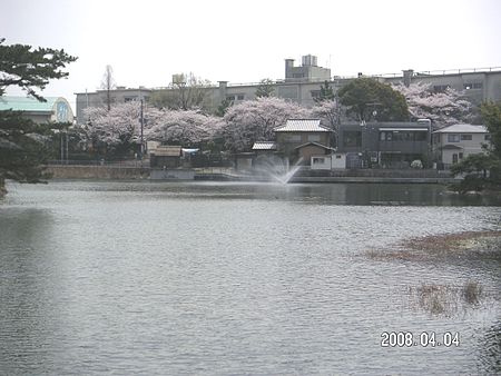の画像
