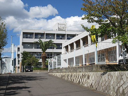 の画像