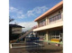 ばおばぶ風の子保育園の画像