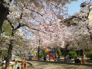寺田町公園の画像1