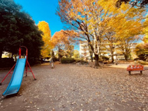 谷戸イチョウ公園