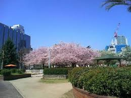 中大江公園の画像1