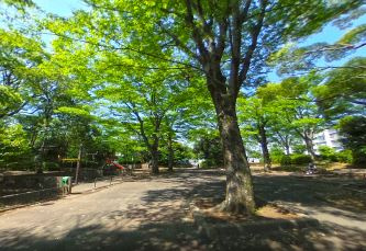 和田第1公園の画像1