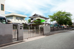 の画像
