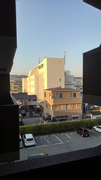 の画像