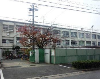 若江小学校の画像1