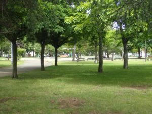 若葉公園の画像1